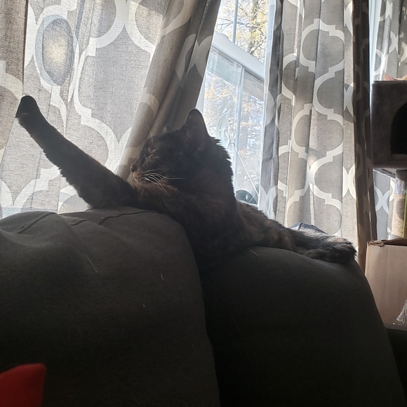 Julie R (AKA Forza) - Meet your posher - Picture 9 of 12